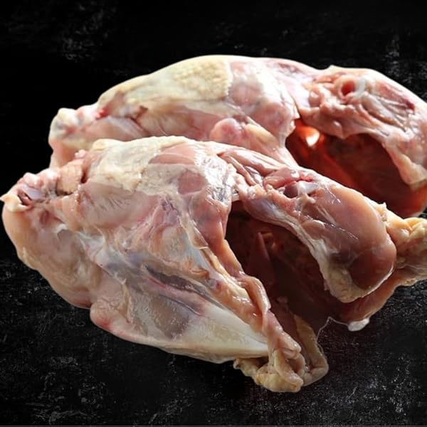 Min　ロングホルバー　鶏もみじ ルートZX mini ＃｜オンラインカタログ internet DO【株式